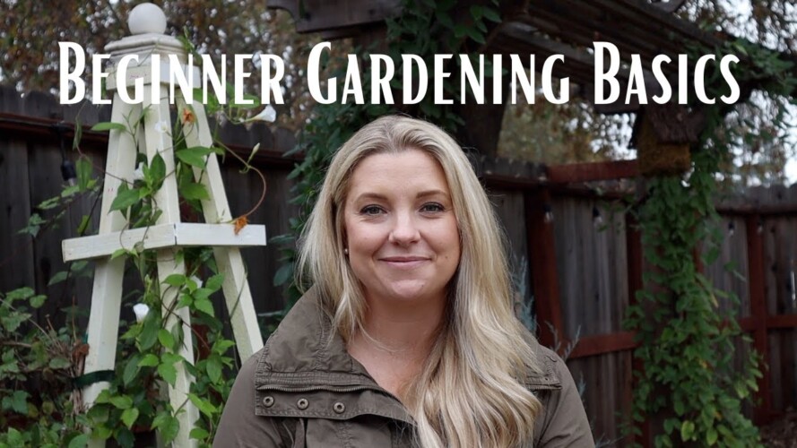 Gardening for Beginners Series:  Gardening Basics for Beginners
