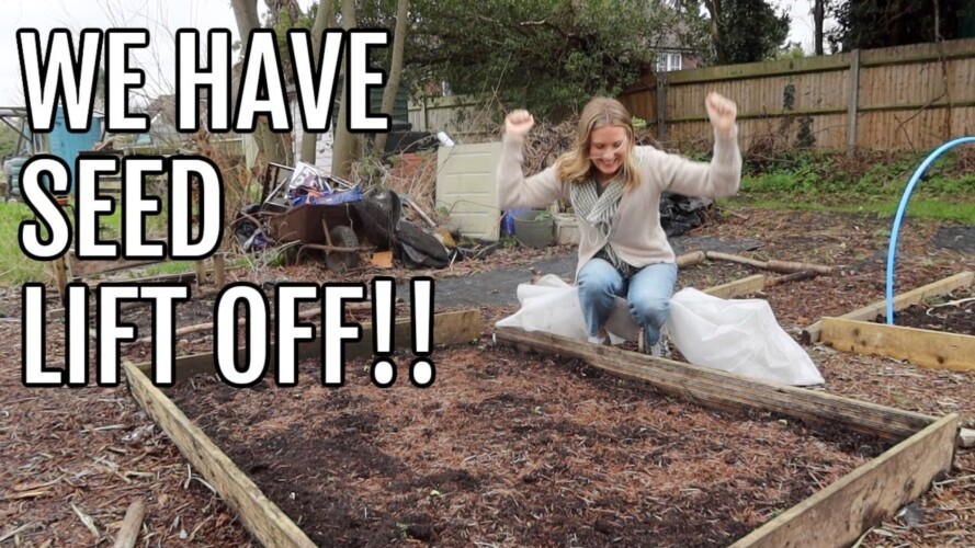 WE HAVE SEED LIFT OFF!! / ALLOTMENT GARDENING FOR BEGINNERS