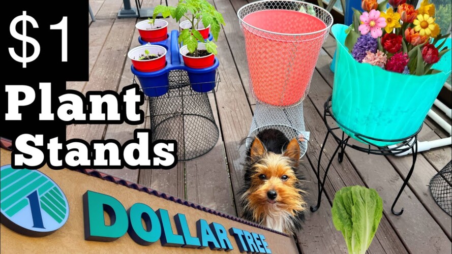 Dollar Tree $1 Plant Stand Wire Basket Container Gardening Vegetables, Lettuce & Indoor Houseplants