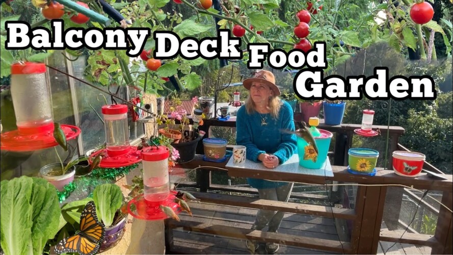 Balcony Container Gardening, Setting Up Small Space Deck Spring Garden with Hummingbirds & Wildlife