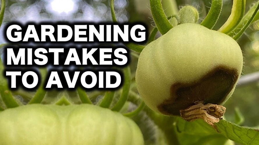 10 Gardening Mistakes That Could Ruin Your Garden - Don't Be a Victim