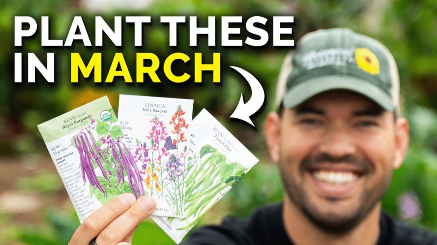 9 Crops You'd be Foolish Not to Plant in March!