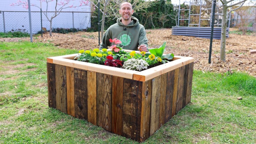 How to Build a RAISED BED Using RECYCLED PALLETS, FREE Backyard Gardening