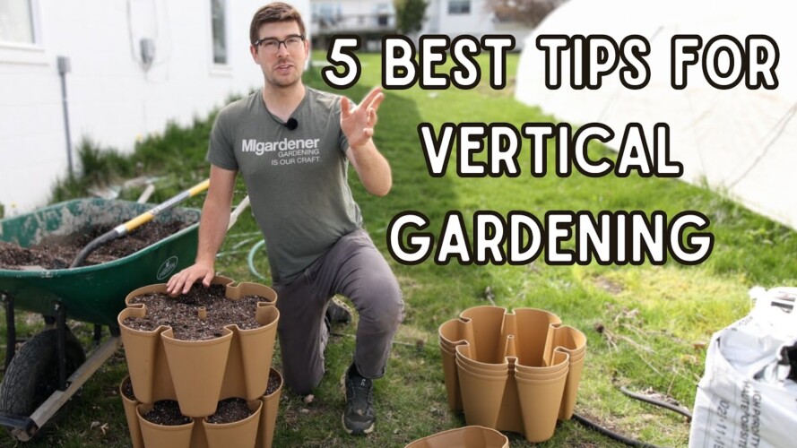 Do These FIVE Things For Vertical Gardening Success!