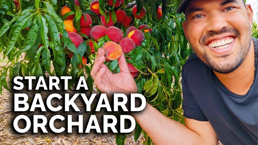 How to Start a Home Orchard (COMPLETE GUIDE)