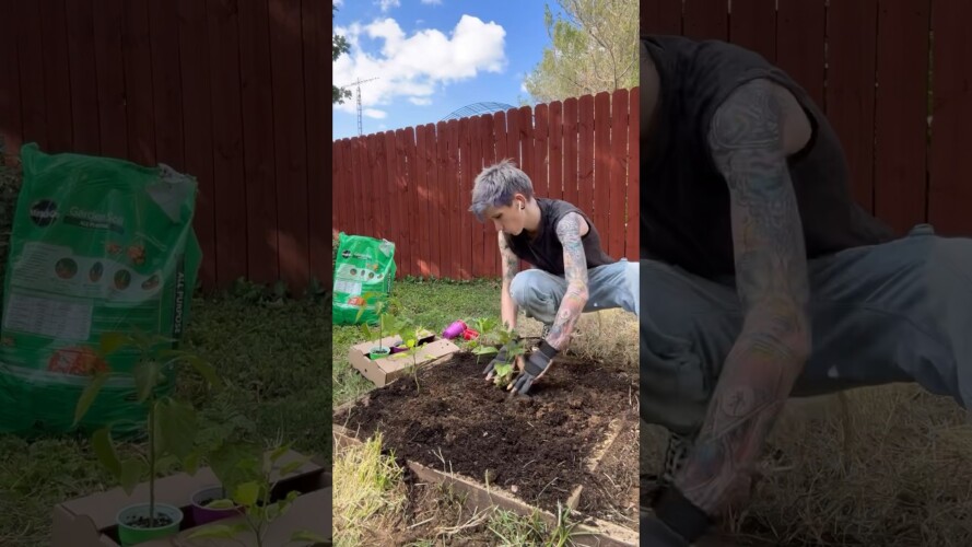 I’m a gardener now I guess #vlog #garden #gardening #selfcare #diy #landscape #plants