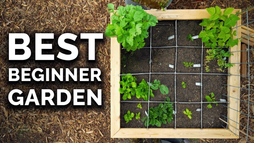 Square Foot Gardening: Easiest Way to Grow MORE Food in LESS Space
