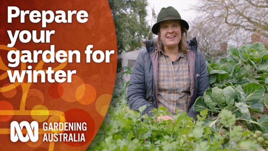 How to prepare and keep your garden's production up during winter | Gardening Australia