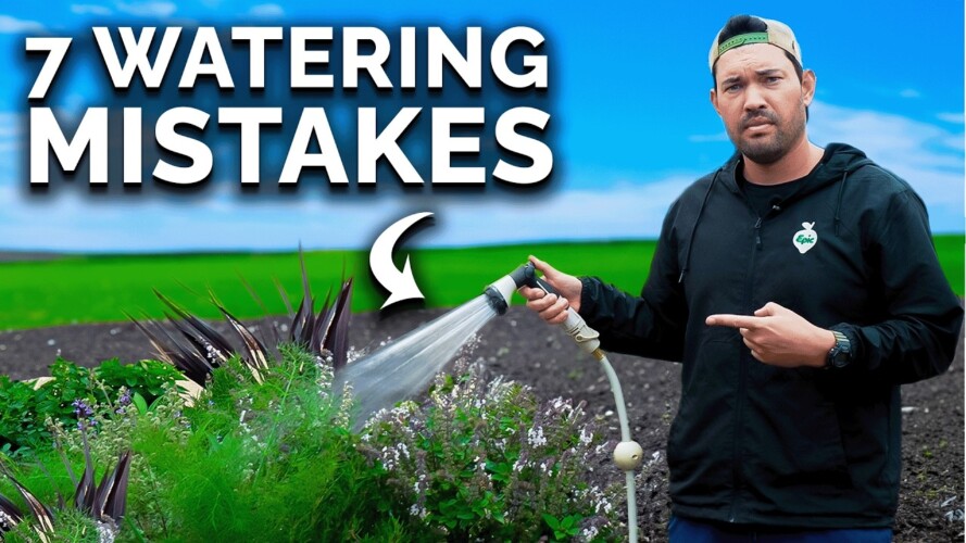 7 Watering Mistakes You're Probably Making