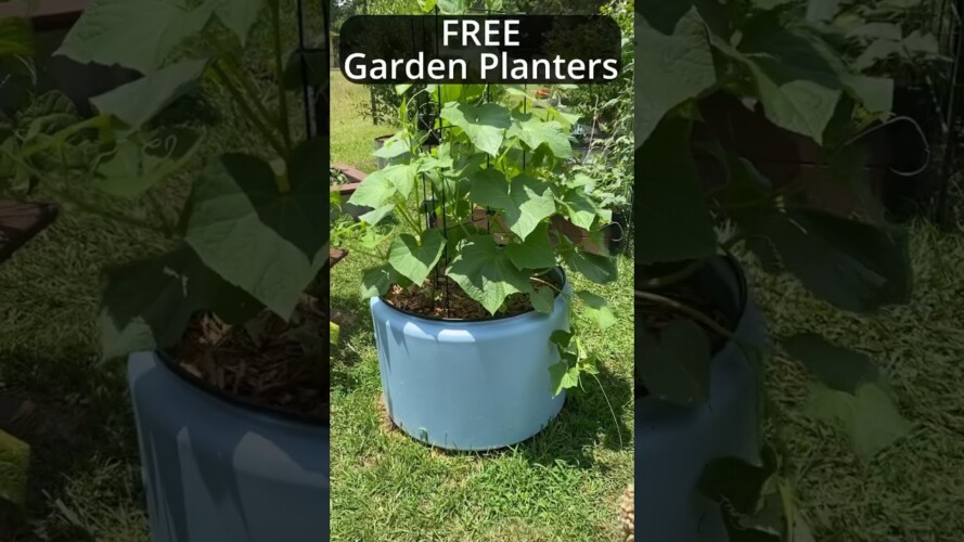 Free Garden Planters - Tips and Tricks #garden #gardening