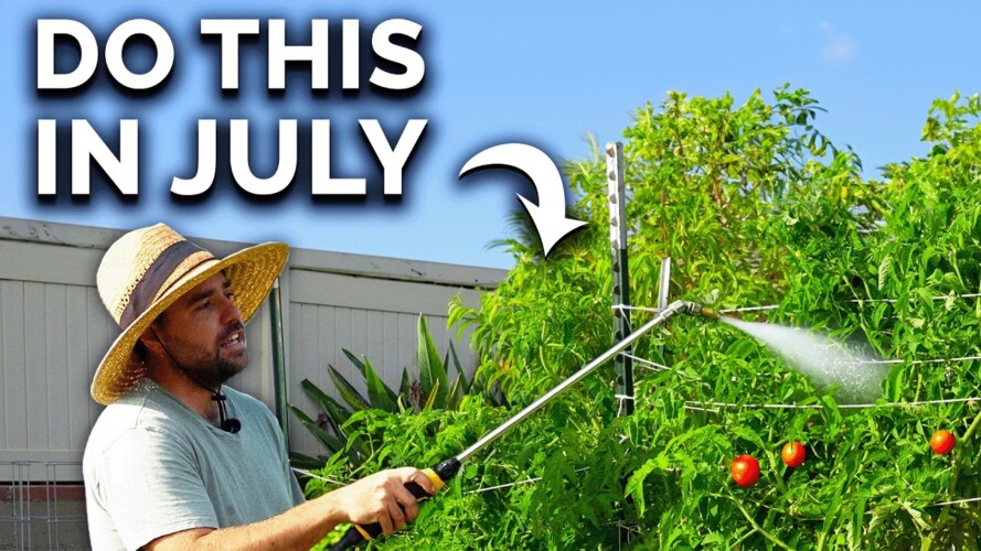 7 MUST-DO Garden Chores in July
