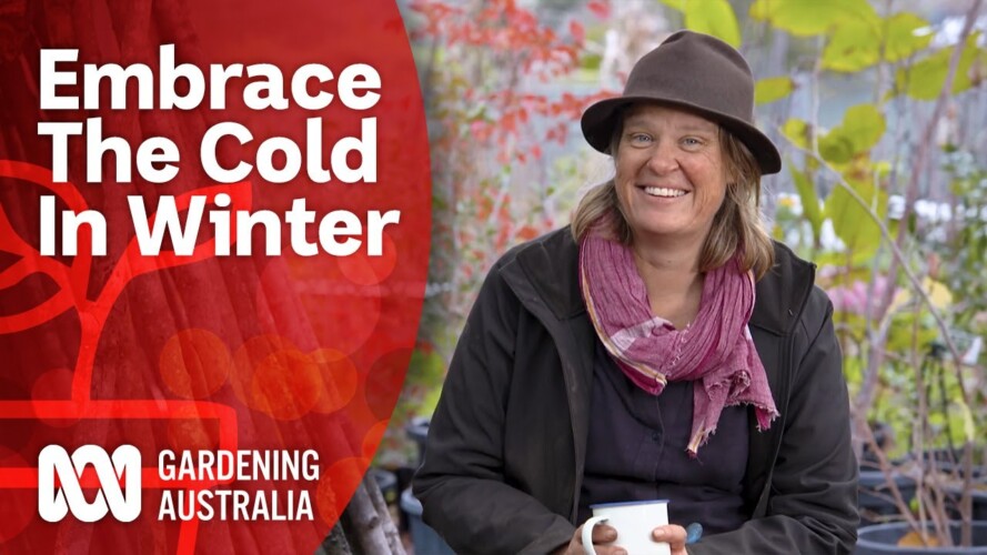 Brave The Cold This Winter | Gardening 101 | Gardening Australia