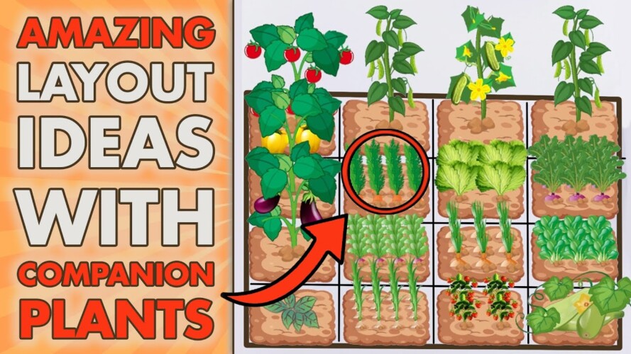 5 SQUARE FOOT GARDENING Layout Ideas With COMPANION PLANTS (Beginners - Get Inspired)