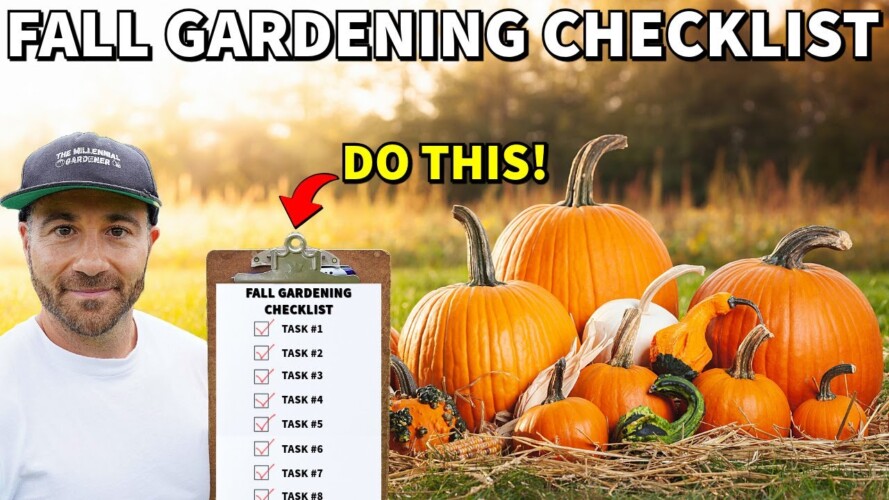 Essential FALL GARDENING Checklist You Must Do NOW!