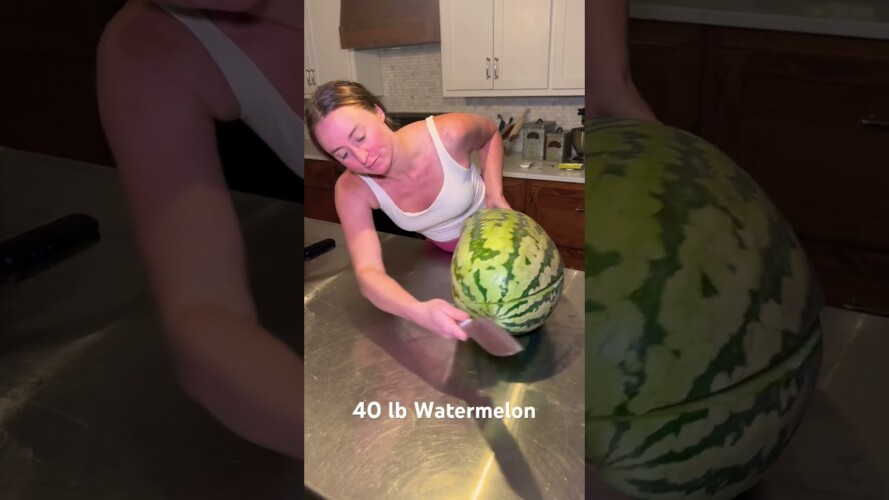 40 lb Watermelon I grew! #gardening #watermelon #shorts #viralvideo #grow #🍉 #reveal