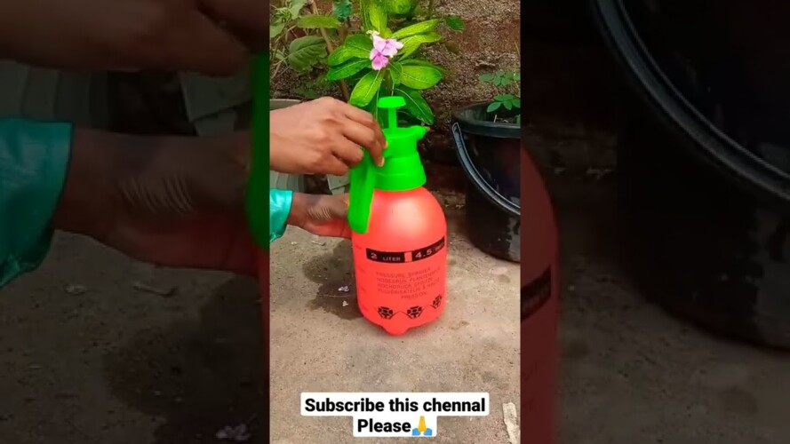 #How to use pressure sprayer (2 Liter) || #Hand spray pump pressure gardening review