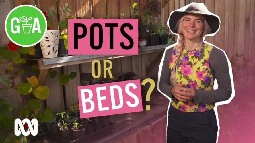 Should You Sow Seeds Into Pots or Soil? | Gardening 101 | Gardening Australia