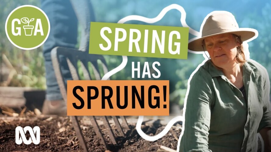 Spring Jobs to Start NOW | Gardening 101 | Gardening Australia