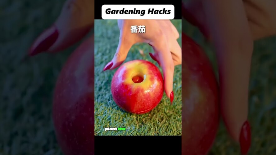 100 Years of Life Taught Me These Gardening Hacks#shorts #lifehacks#lifetips