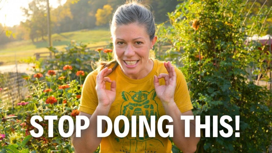 Why I Hate Cover Crops (+ 9 Other Fall Lazy Gardening Tips)