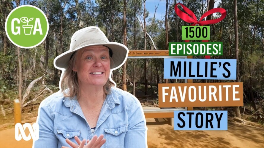 Millie's Fav Gardening Australia Story | Discovery | Gardening Australia