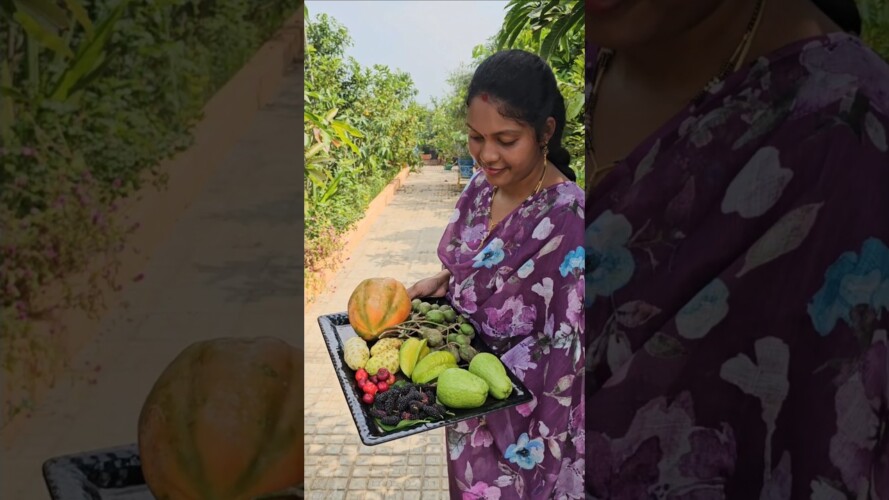 Fruits harvesting in my garden #fruits #harvesting #mygarden #gardening #shortvideo #ytshorts