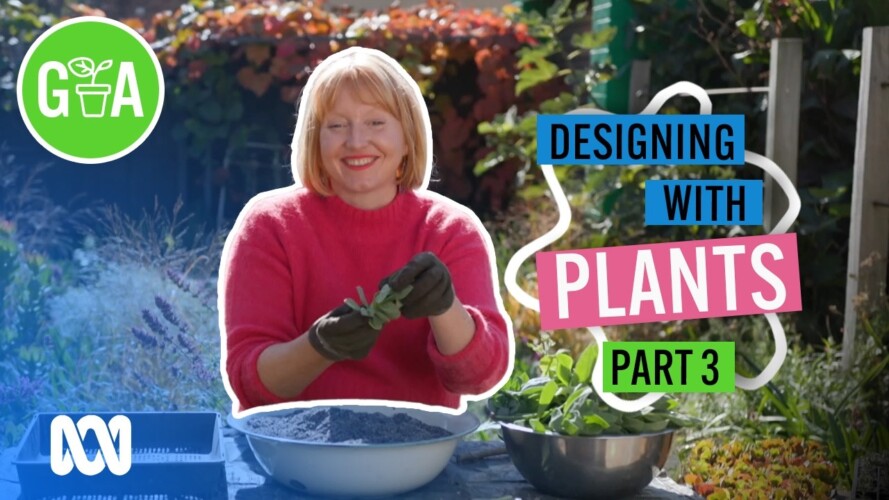 How to Maximise Your Garden | Designing With Plants | Gardening Australia